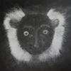 
Lemur (2013)
Oil on canvas 36 x 36 inches.